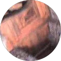 S C.